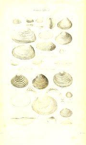 n414_w1150