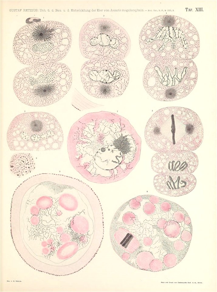 n164_w1150