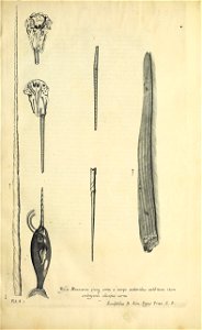 n58_w1150