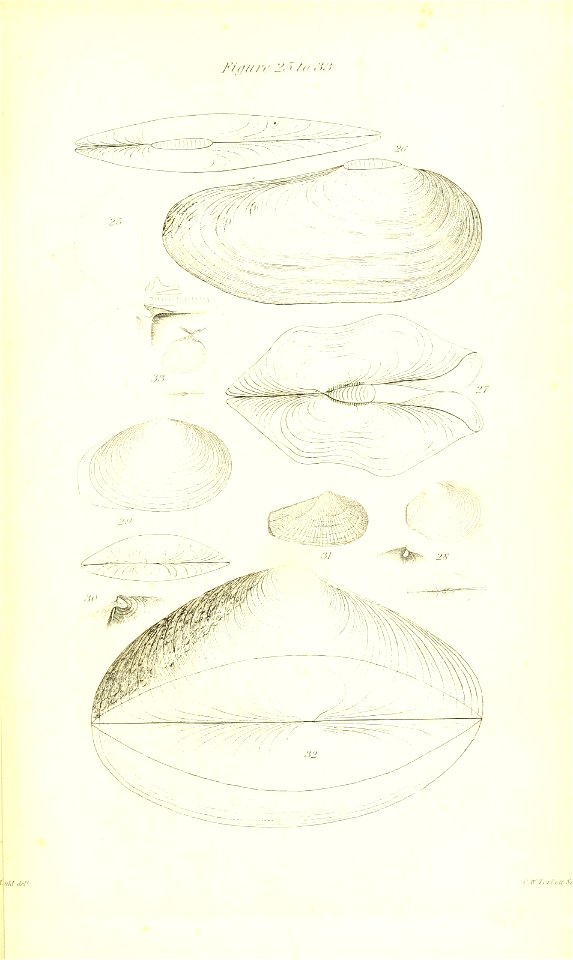 n412_w1150