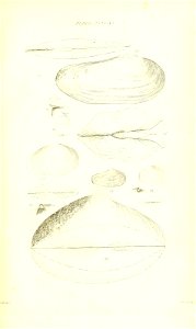 n412_w1150