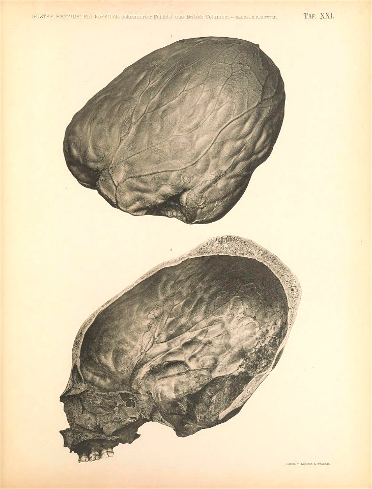 n152_w1150