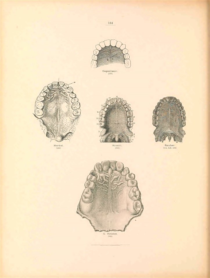 n177_w1150