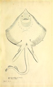 n124_w1150