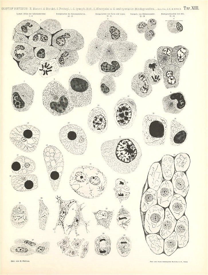 n136_w1150