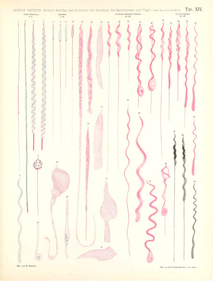 n146_w1150