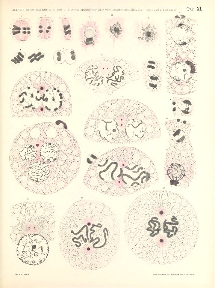 n156_w1150