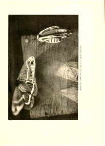 n138_w1150