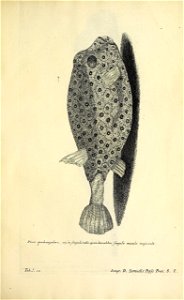 n290_w1150