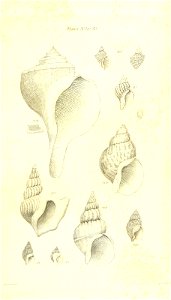 n438_w1150