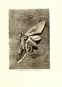 n218_w1150