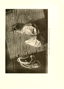 n134_w1150