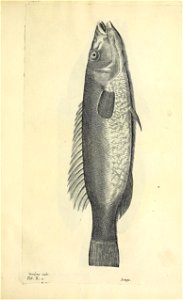 n674_w1150