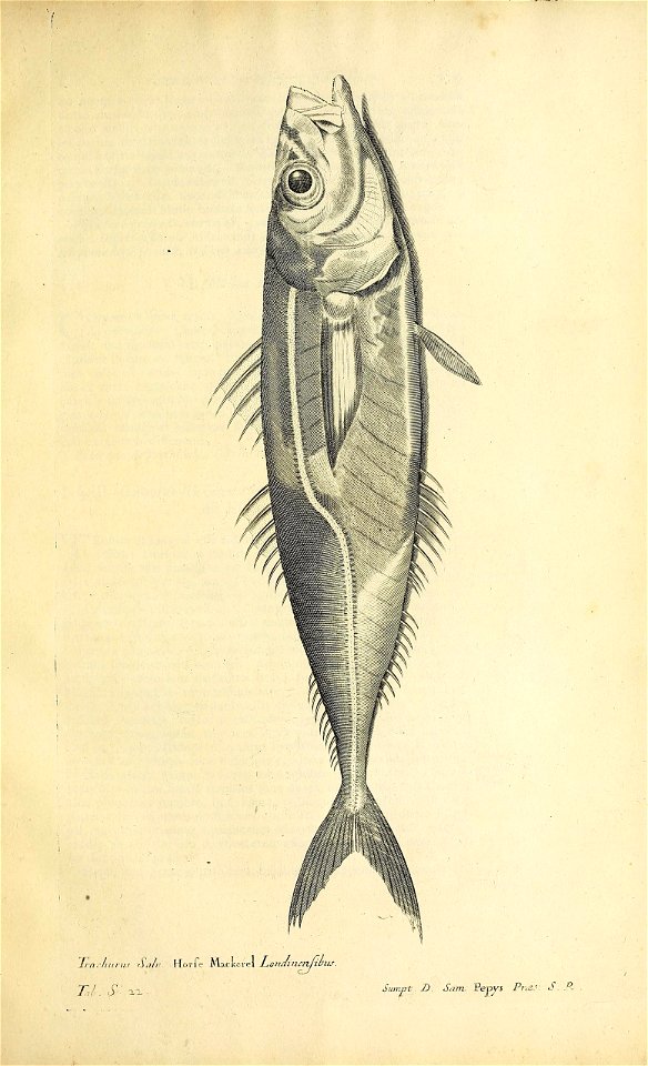 n604_w1150