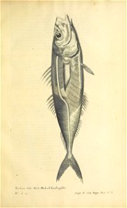 n604_w1150