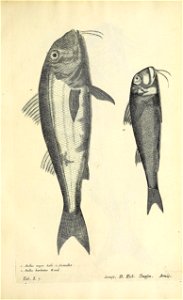 n574_w1150