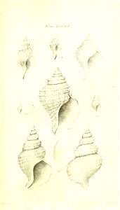 n436_w1150