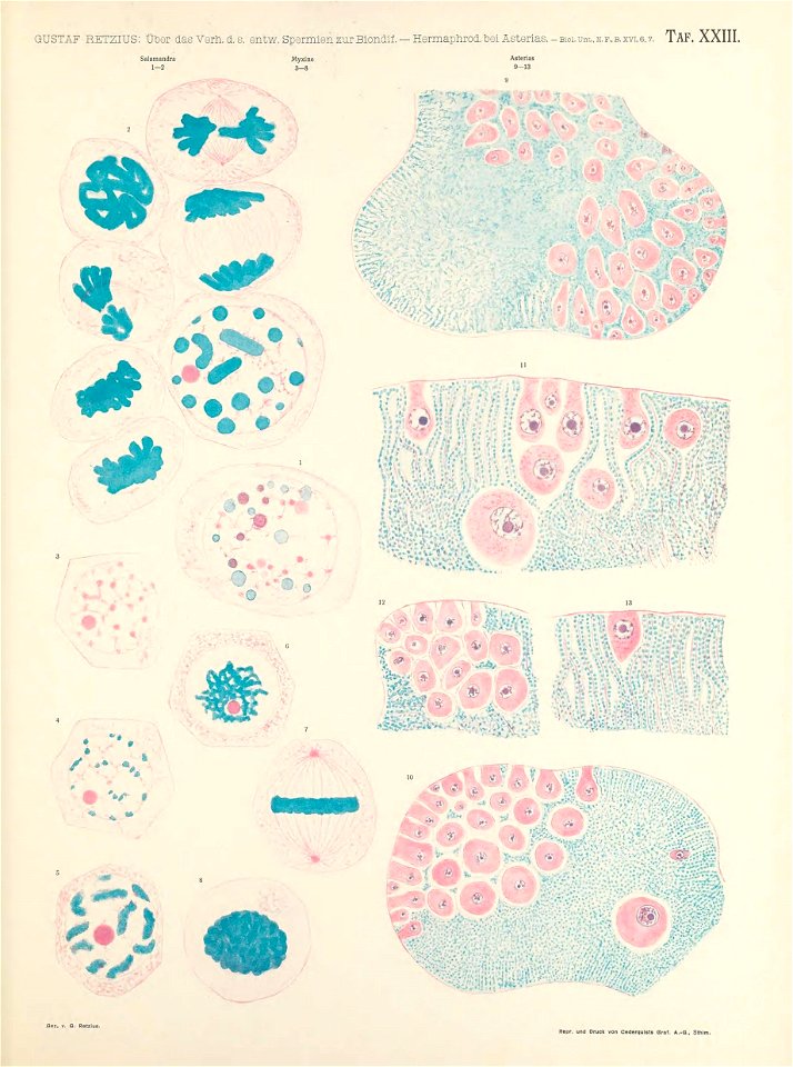 n204_w1150