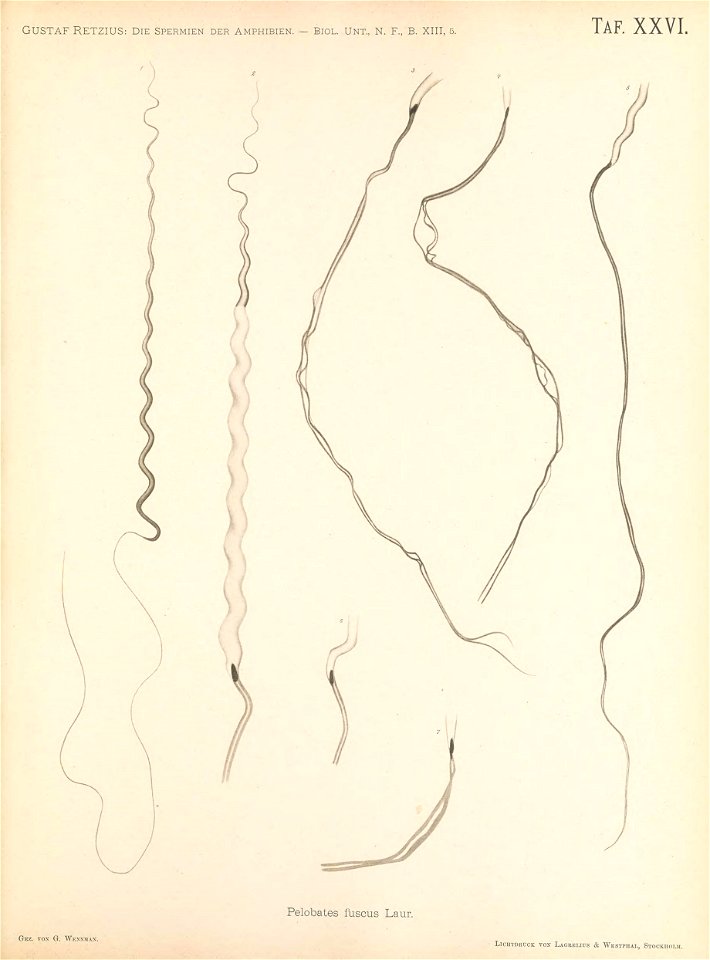 n236_w1150