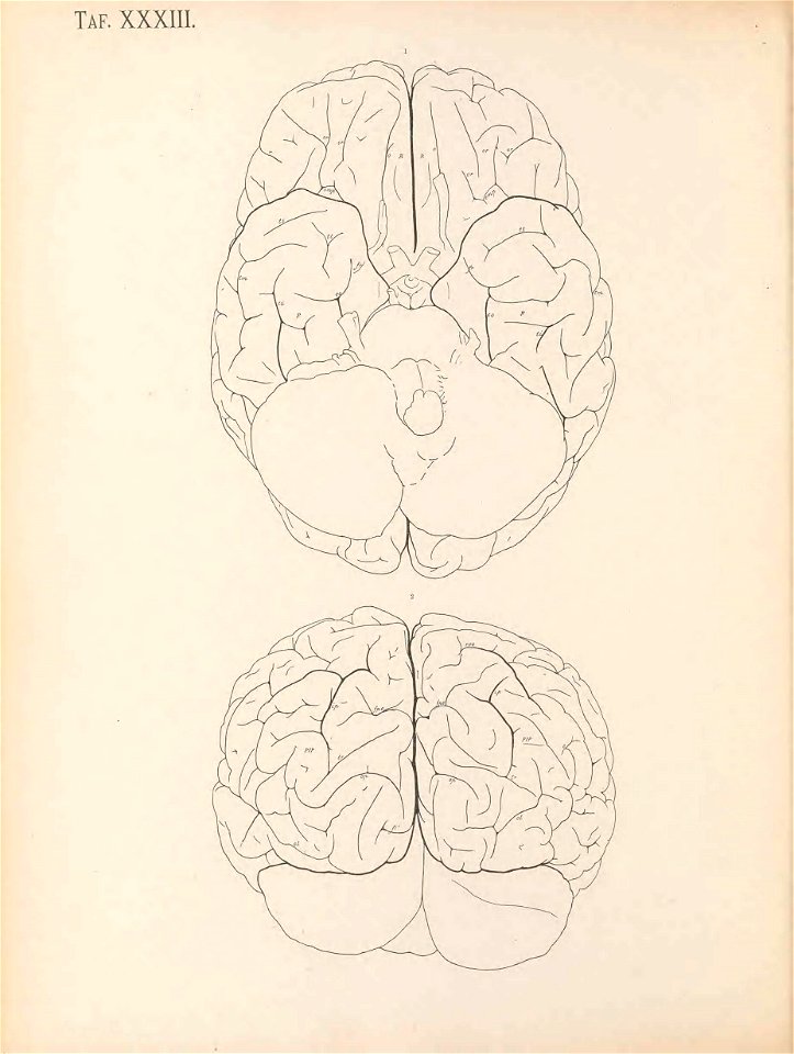 n217_w1150