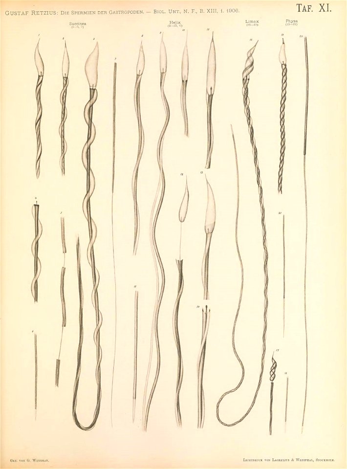 n204_w1150