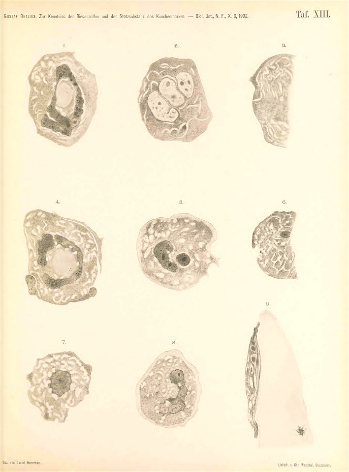 n134_w1150