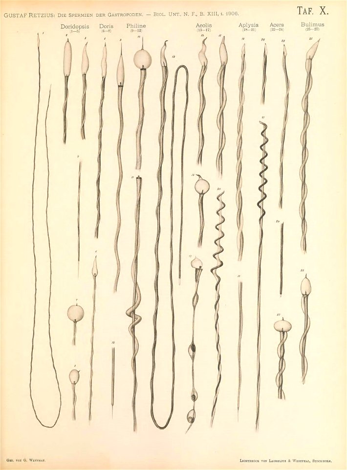 n202_w1150