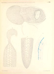 n130_w1150