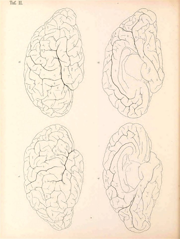 n89_w1150