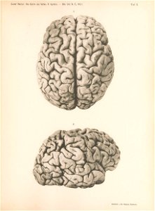 n138_w1150