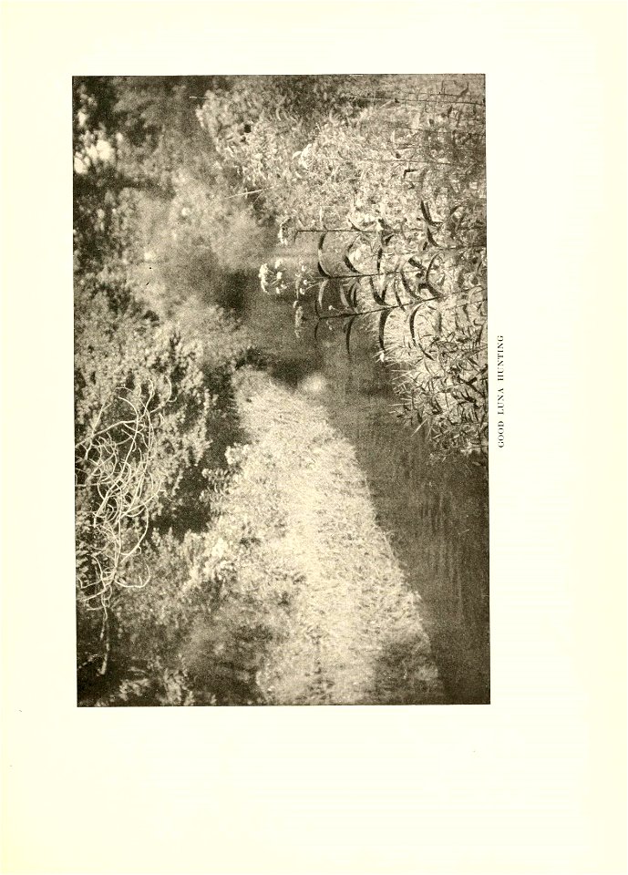 n198_w1150