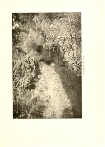 n198_w1150