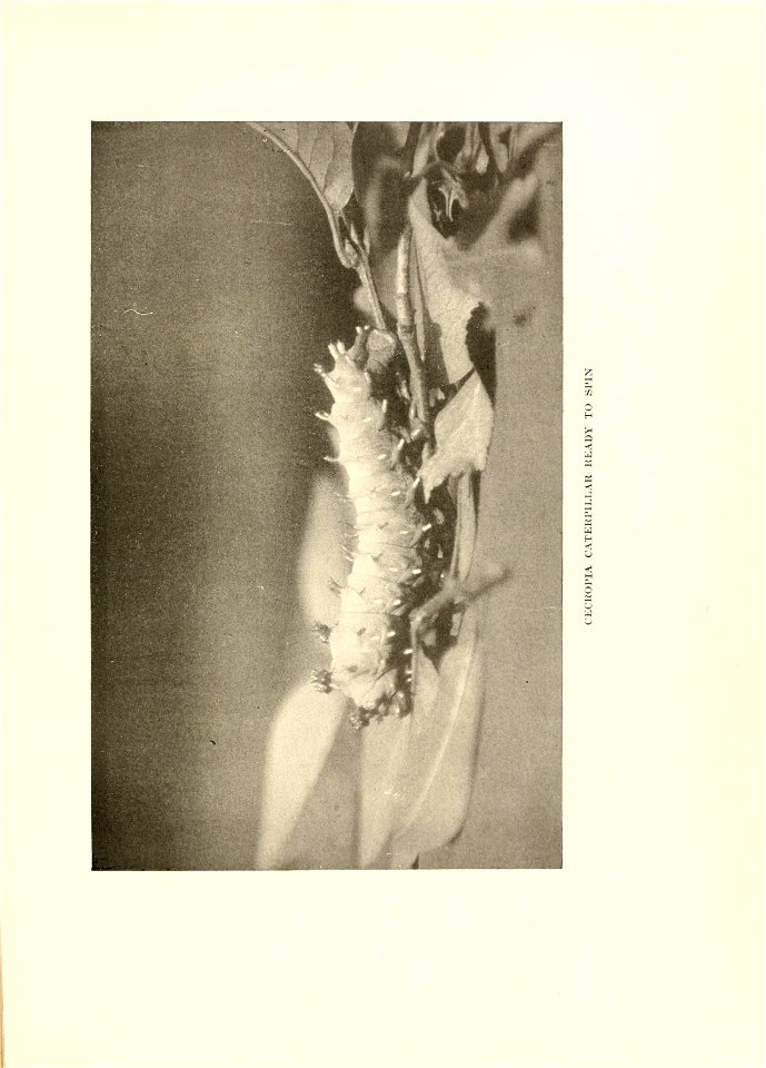n120_w1150