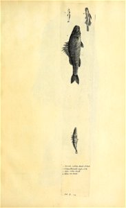 n698_w1150