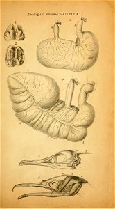 n552_w1150