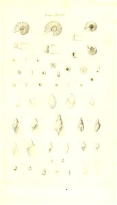 n430_w1150