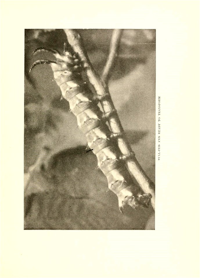n378_w1150