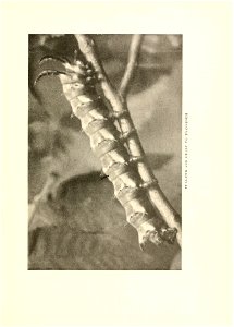 n378_w1150