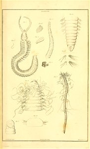 n594_w1150