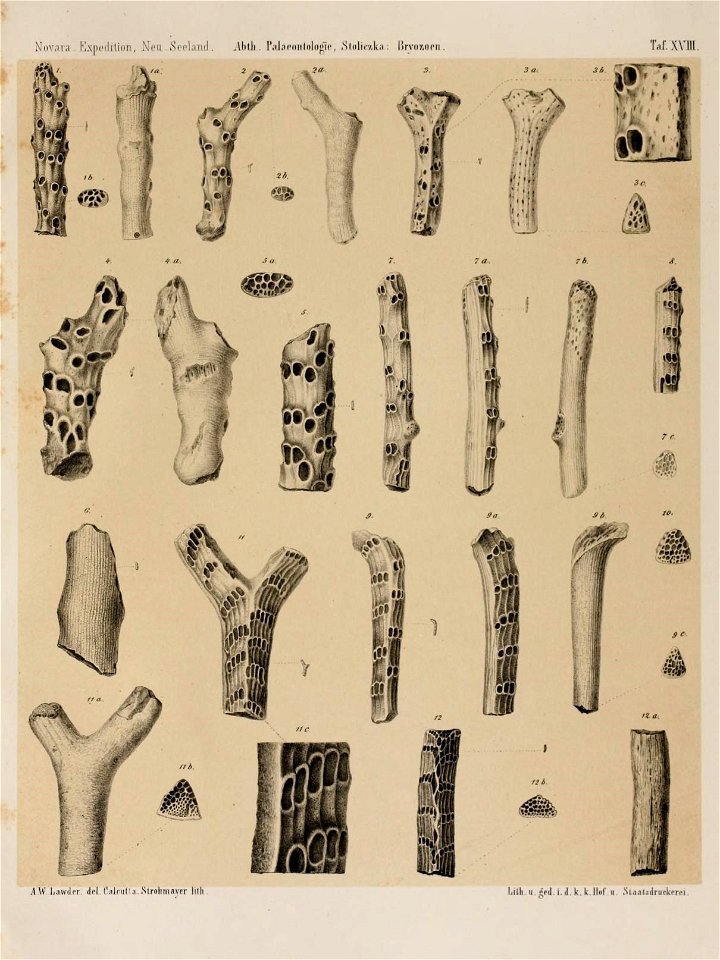 n398_w1150