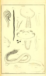n592_w1150