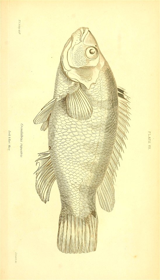 n628_w1150