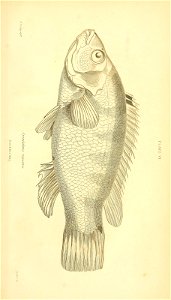 n628_w1150