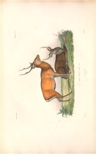 n195_w1150