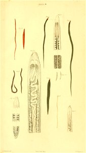 n654_w1150