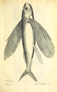 n464_w1150