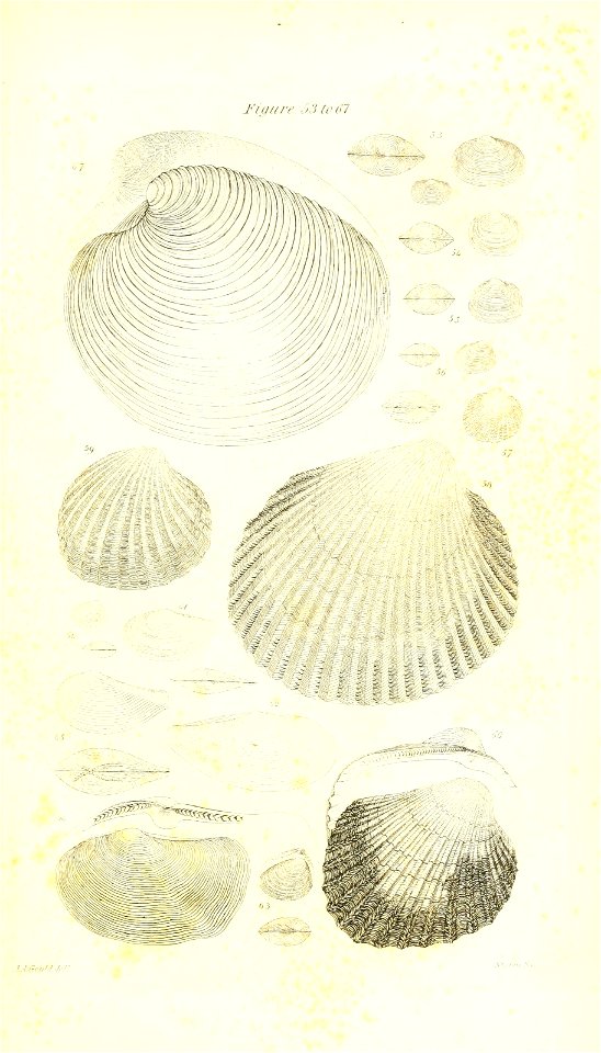 n416_w1150