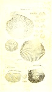 n416_w1150