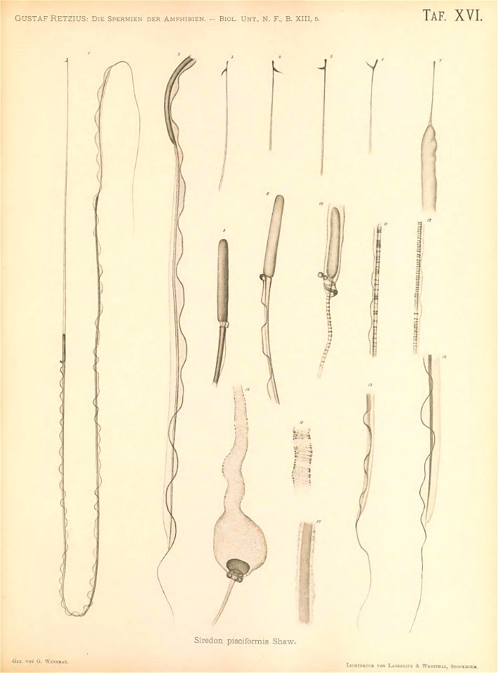 n216_w1150
