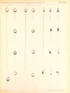 n140_w1150